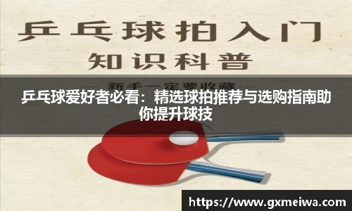 乒乓球爱好者必看：精选球拍推荐与选购指南助你提升球技